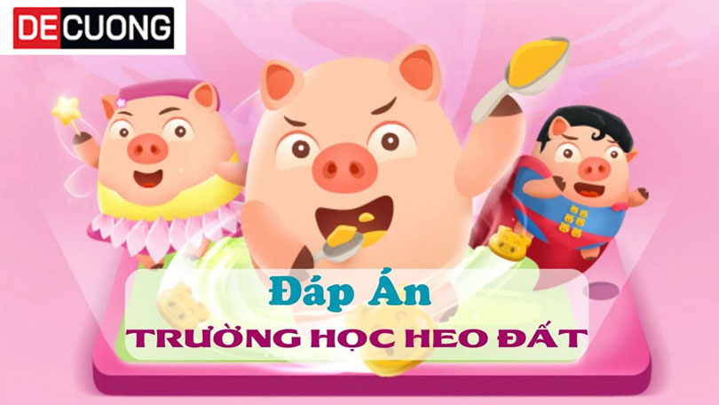 Đáp án Heo đi học ngày hôm nay 26/8/2024