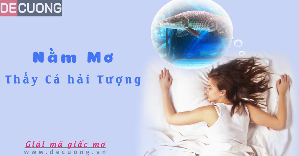 Nằm Mơ Thấy Cá Hải Tượng Hên hay xui - Đánh số con gì?