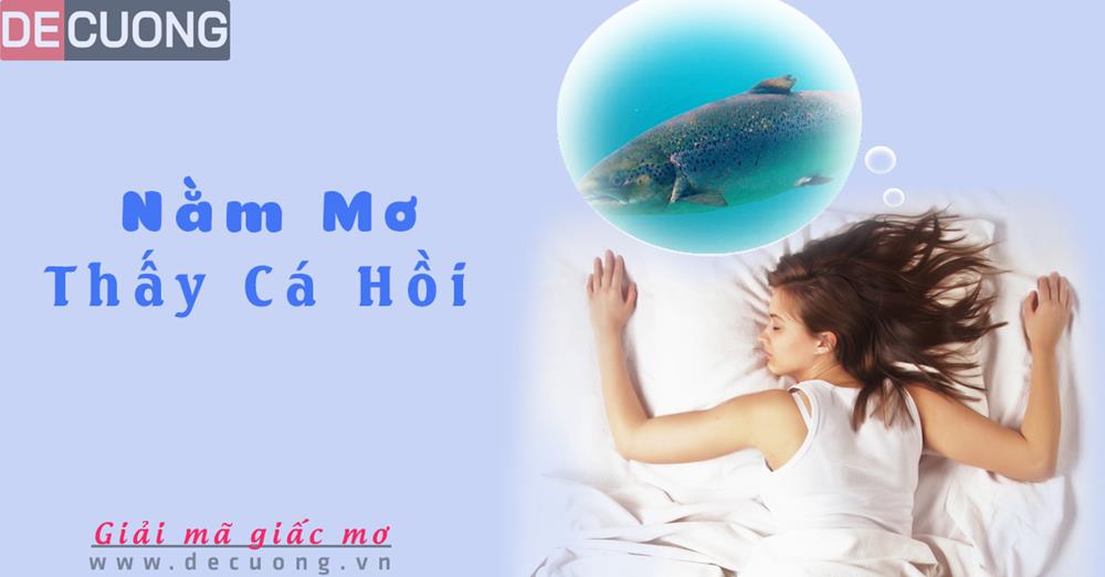 Nằm mơ thấy cá hồi Hên hay xui - Đánh số con gì?