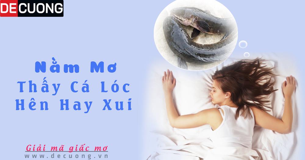 Nằm mơ thấy cá lóc điềm báo Hên hay xui - Đánh số con gì?