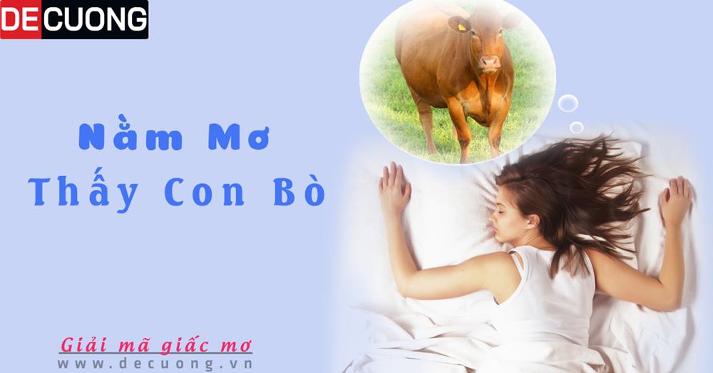 Nằm mơ thấy con bò là điềm gì hên hay xui - Đánh số con gì?