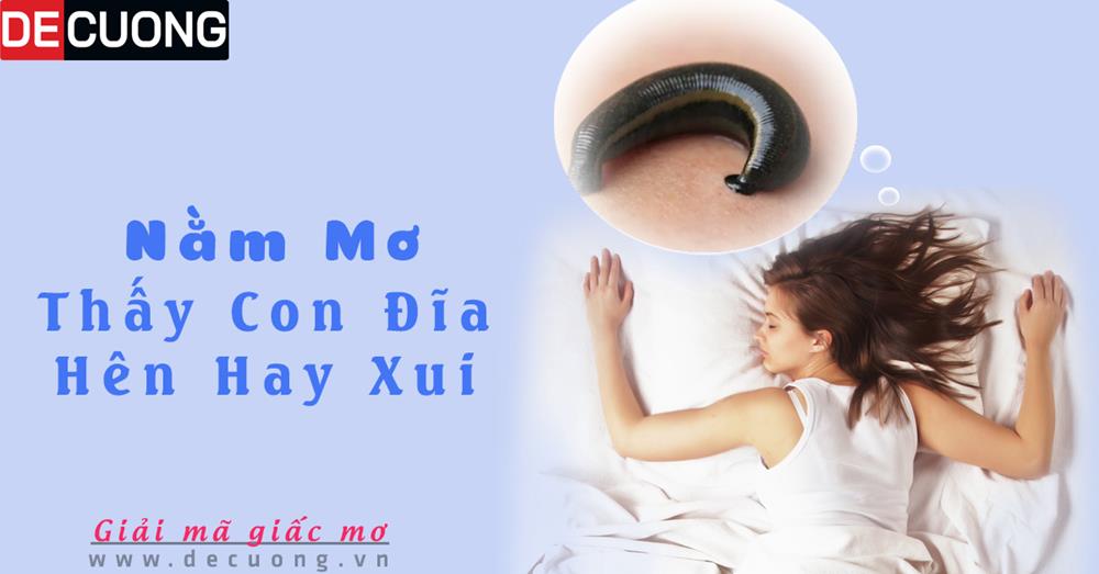 Nằm mơ thấy con đỉa Hên hay xui - Điềm báo gì? đánh số con gì?