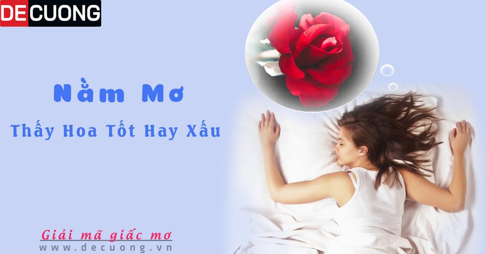 Giải mã nằm mơ thấy hoa tốt hay xấu - Đánh số con gì?