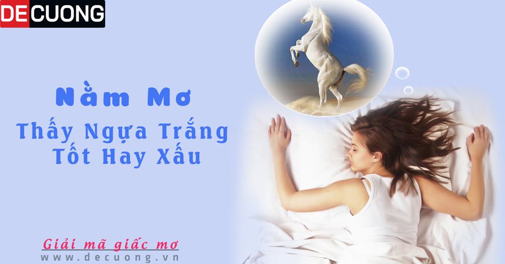 Giải mã nằm mơ thấy ngựa trắng tốt hay xấu - Đánh số con gì?