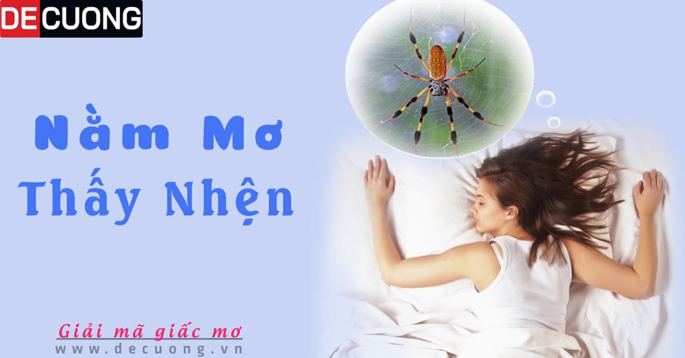 Nằm mơ thấy nhện hên hay xui - Điềm báo gì? Đánh con gì?