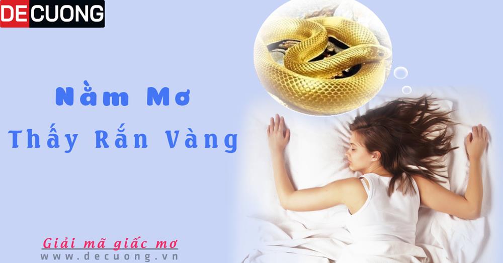 Nằm mơ thấy rắn vàng Hên hay xui - Đánh số con gì?