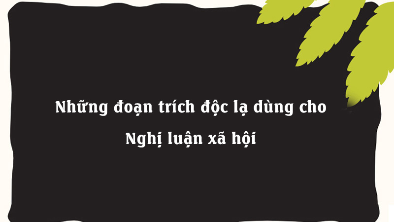 Những đoạn trích độc lạ dùng cho Nghị luận xã hội