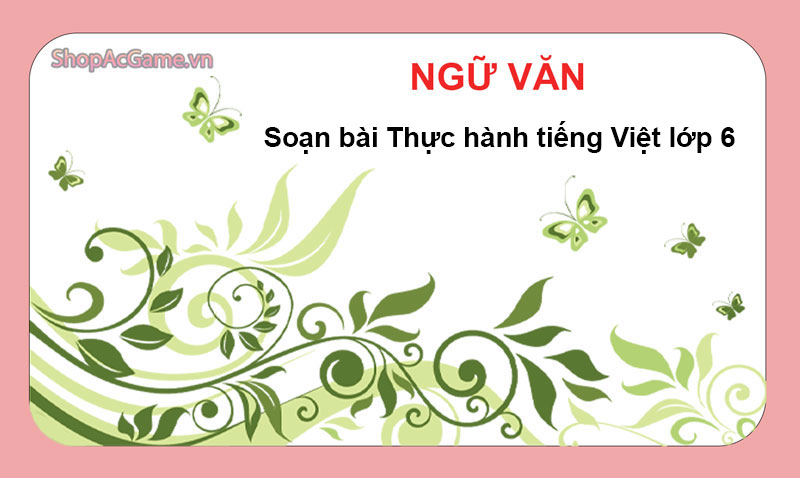 Soạn bài Thực hành tiếng Việt lớp 6
