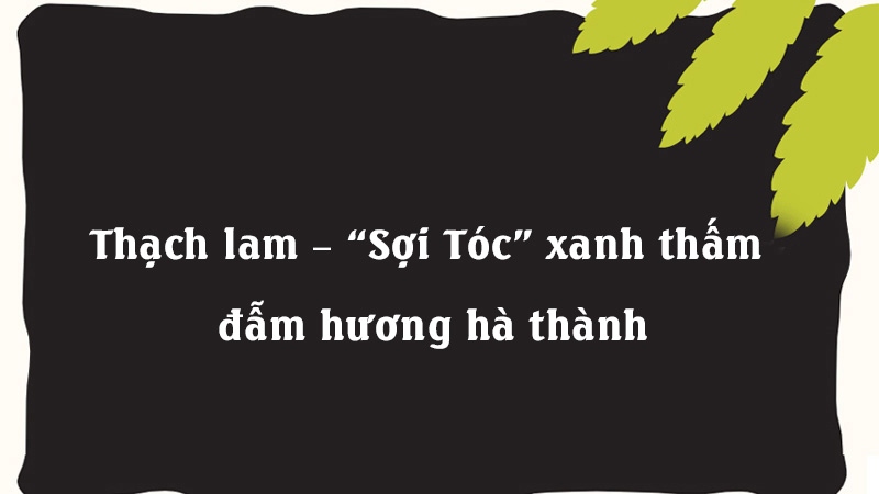 Thạch lam – “Sợi Tóc” xanh thấm đẫm hương hà thành