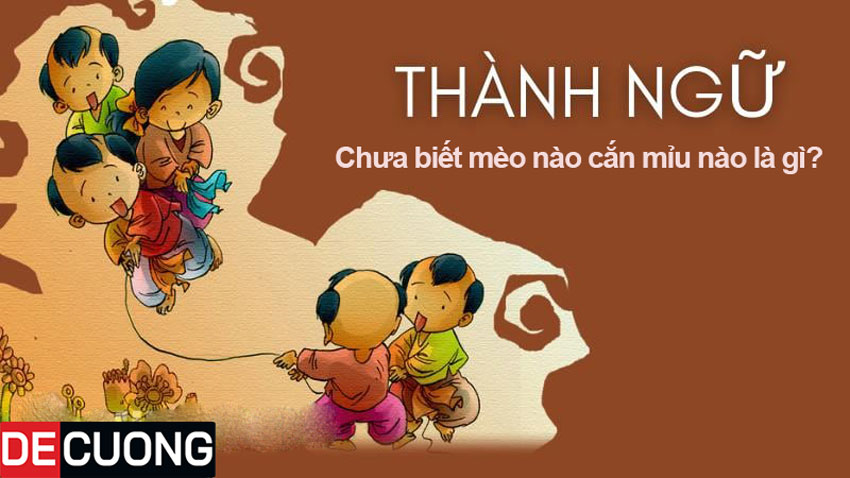 Chưa biết mèo nào cắn mỉu nào là gì? | Thành ngữ - Tục ngữ